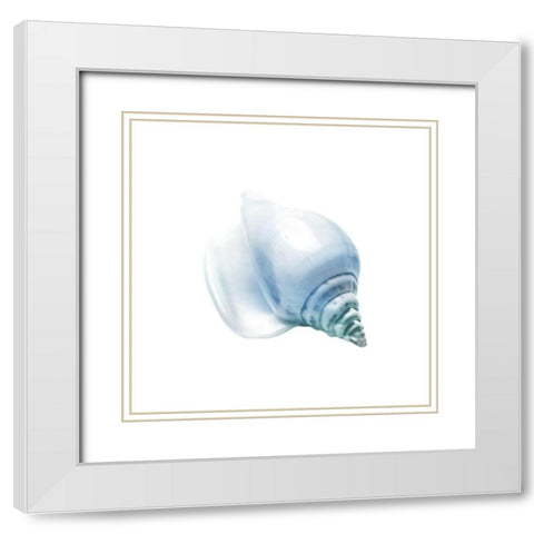 Seaside Shell 3 White Modern Wood Framed Art Print with Double Matting by Prime, Marcus