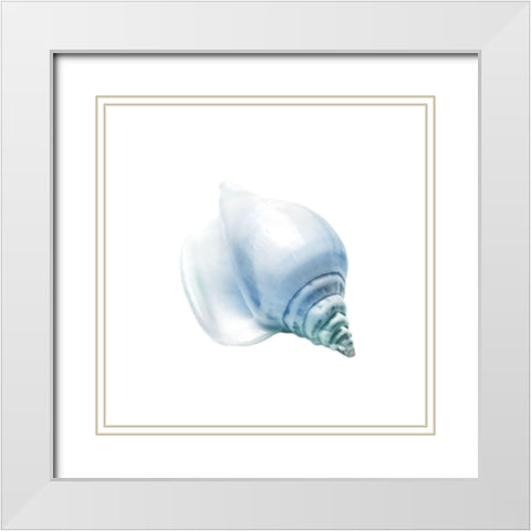 Seaside Shell 3 White Modern Wood Framed Art Print with Double Matting by Prime, Marcus