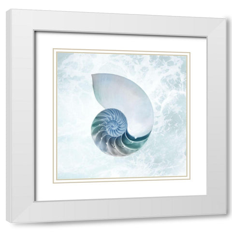 Seaside Infused Shell 4 White Modern Wood Framed Art Print with Double Matting by Prime, Marcus