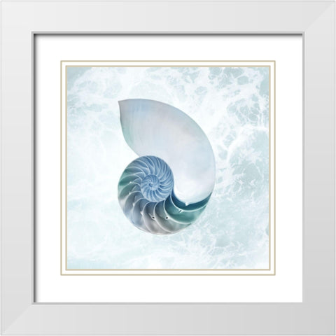 Seaside Infused Shell 4 White Modern Wood Framed Art Print with Double Matting by Prime, Marcus