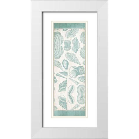 Sea Shells White Modern Wood Framed Art Print with Double Matting by Villa, Mlli