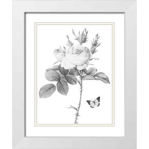 Greyscale Floral White Modern Wood Framed Art Print with Double Matting by Villa, Mlli