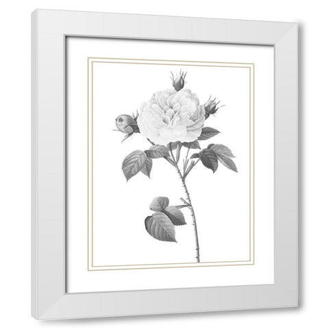 Greyscale Floral Two White Modern Wood Framed Art Print with Double Matting by Villa, Mlli