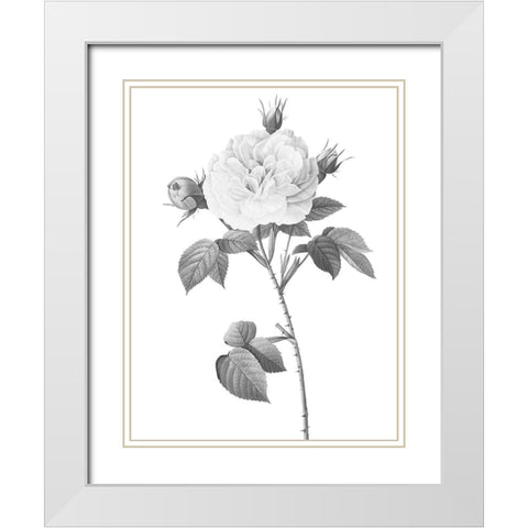 Greyscale Floral Two White Modern Wood Framed Art Print with Double Matting by Villa, Mlli