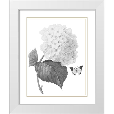 Greyscale Floral Four White Modern Wood Framed Art Print with Double Matting by Villa, Mlli
