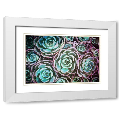 Dark Blend White Modern Wood Framed Art Print with Double Matting by Villa, Mlli