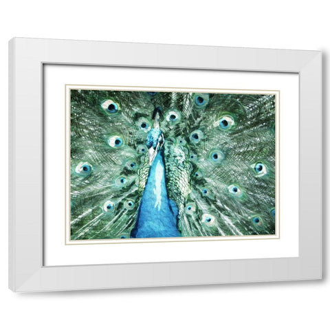 Looking Peacock White Modern Wood Framed Art Print with Double Matting by Villa, Mlli