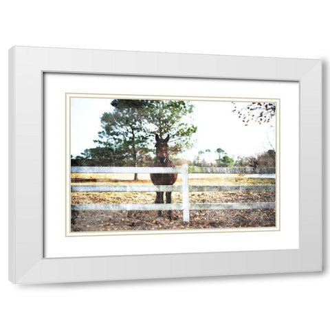 Waiting Horse White Modern Wood Framed Art Print with Double Matting by Villa, Mlli