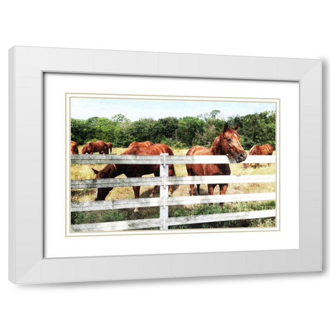 Horse Farm White Modern Wood Framed Art Print with Double Matting by Villa, Mlli