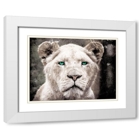 Lioness Look White Modern Wood Framed Art Print with Double Matting by Villa, Mlli