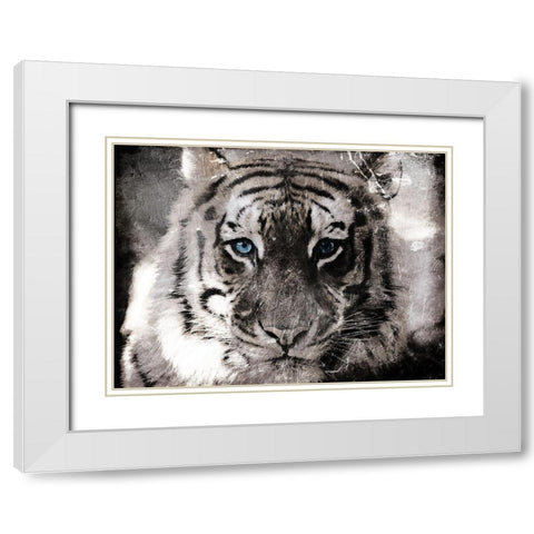 Tiger Look White Modern Wood Framed Art Print with Double Matting by Villa, Mlli