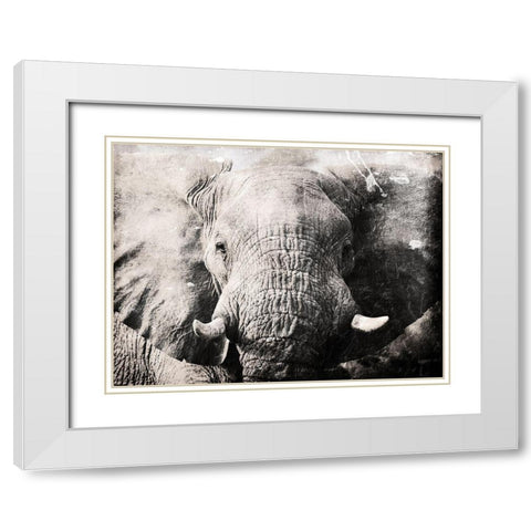 Elephant Look White Modern Wood Framed Art Print with Double Matting by Villa, Mlli