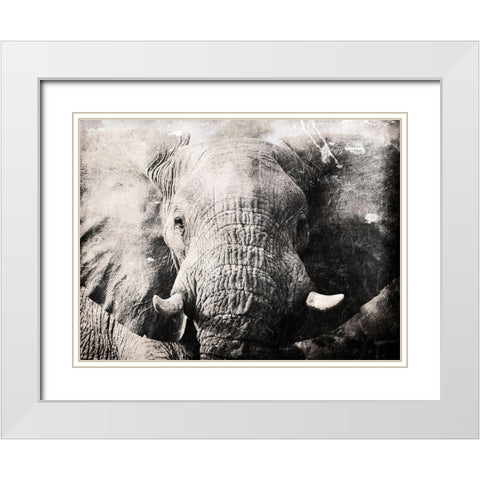 Elephant Look White Modern Wood Framed Art Print with Double Matting by Villa, Mlli