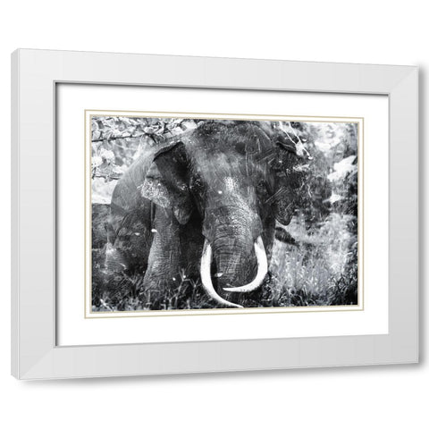 Elephant Look Two White Modern Wood Framed Art Print with Double Matting by Villa, Mlli