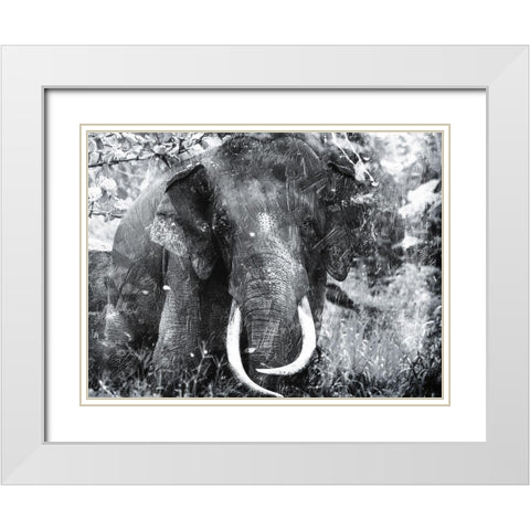 Elephant Look Two White Modern Wood Framed Art Print with Double Matting by Villa, Mlli