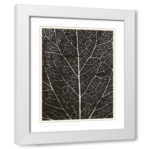 Charcoal Leaf Grain White Modern Wood Framed Art Print with Double Matting by Villa, Mlli