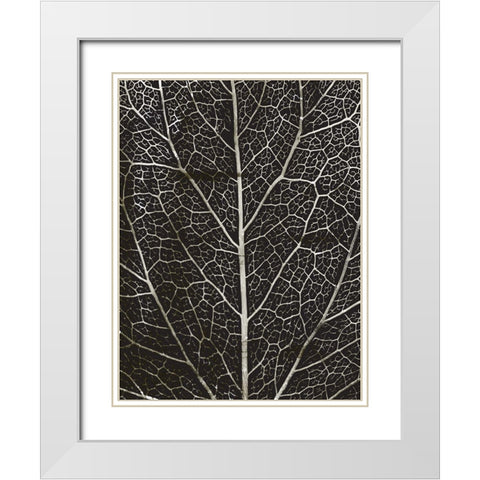 Charcoal Leaf Grain White Modern Wood Framed Art Print with Double Matting by Villa, Mlli
