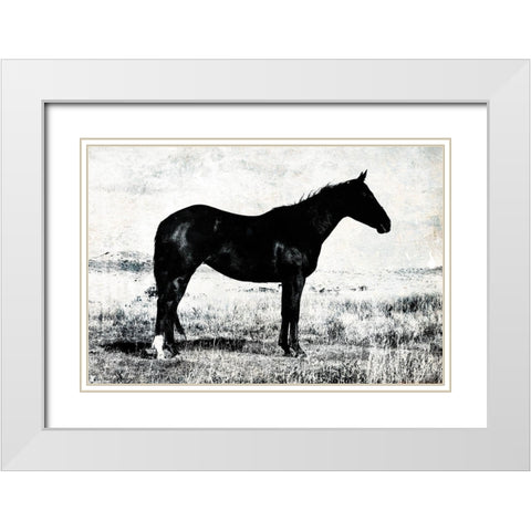 Horse Stance White Modern Wood Framed Art Print with Double Matting by Villa, Mlli
