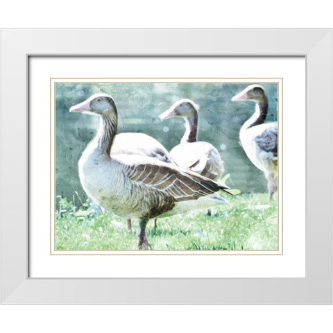 Goose Crew White Modern Wood Framed Art Print with Double Matting by Villa, Mlli