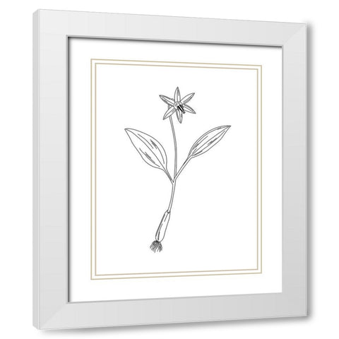 Clean Flowers White Modern Wood Framed Art Print with Double Matting by Villa, Mlli