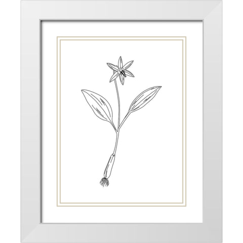 Clean Flowers White Modern Wood Framed Art Print with Double Matting by Villa, Mlli