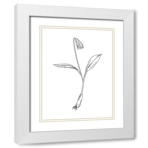 Clean Flowers Mate White Modern Wood Framed Art Print with Double Matting by Villa, Mlli