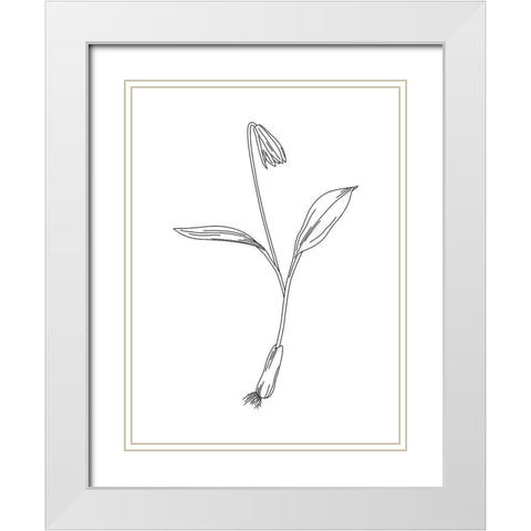 Clean Flowers Mate White Modern Wood Framed Art Print with Double Matting by Villa, Mlli