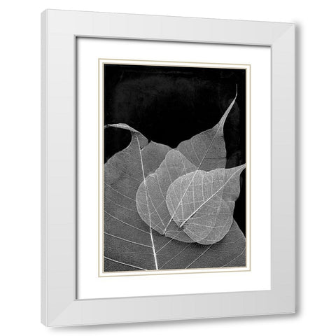 Leaves In The Dark White Modern Wood Framed Art Print with Double Matting by Villa, Mlli