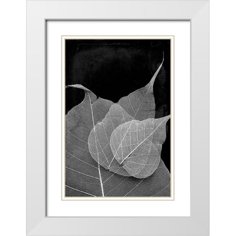 Leaves In The Dark White Modern Wood Framed Art Print with Double Matting by Villa, Mlli