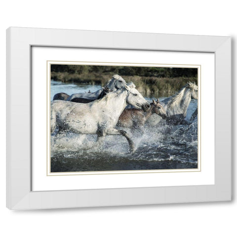 Running Horses White Modern Wood Framed Art Print with Double Matting by Villa, Milli