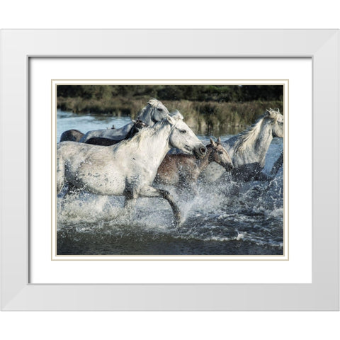 Running Horses White Modern Wood Framed Art Print with Double Matting by Villa, Milli