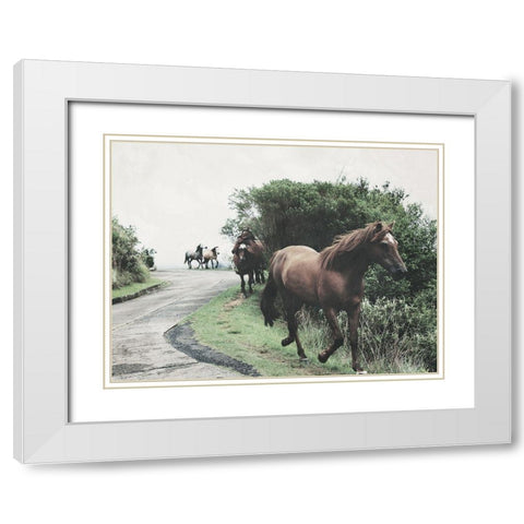 Horses Down The Street White Modern Wood Framed Art Print with Double Matting by Villa, Milli