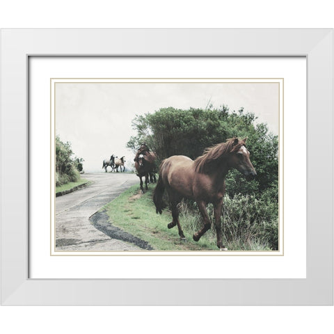 Horses Down The Street White Modern Wood Framed Art Print with Double Matting by Villa, Milli