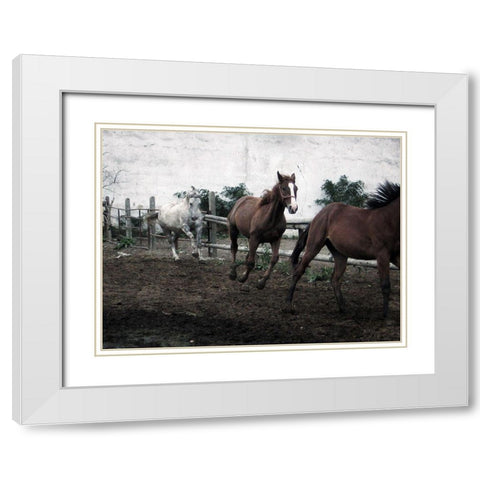 Horses Down The Dirt Road White Modern Wood Framed Art Print with Double Matting by Villa, Milli