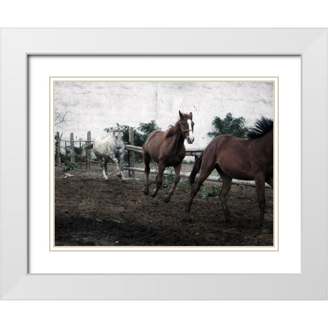 Horses Down The Dirt Road White Modern Wood Framed Art Print with Double Matting by Villa, Milli