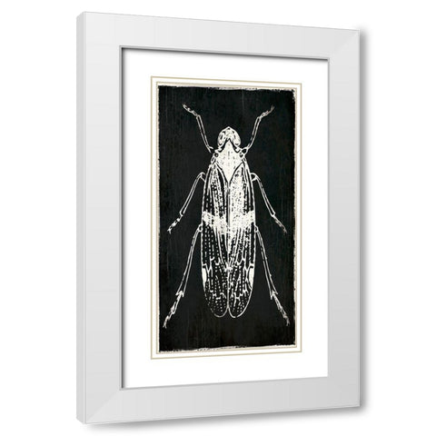 Bug Life One Black White Modern Wood Framed Art Print with Double Matting by Villa, Mlli