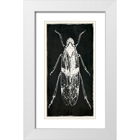 Bug Life One Black White Modern Wood Framed Art Print with Double Matting by Villa, Mlli
