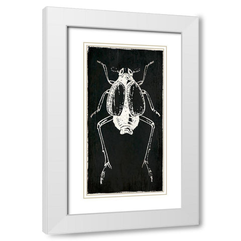 Bug Life Two Black White Modern Wood Framed Art Print with Double Matting by Villa, Mlli