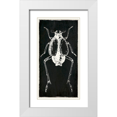 Bug Life Two Black White Modern Wood Framed Art Print with Double Matting by Villa, Mlli