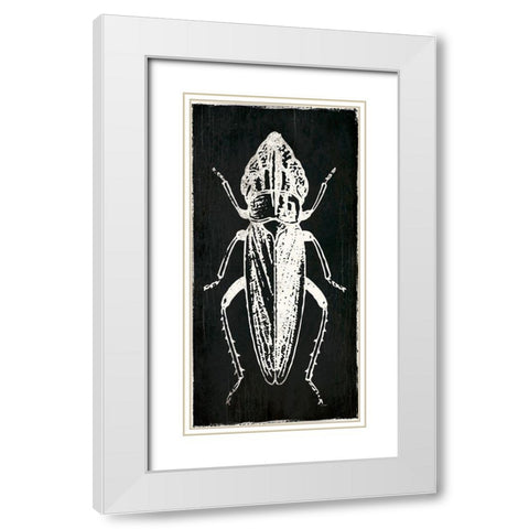 Bug Life Three Black White Modern Wood Framed Art Print with Double Matting by Villa, Mlli