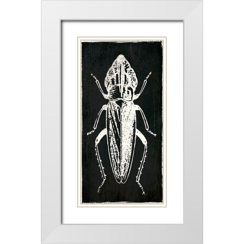 Bug Life Three Black White Modern Wood Framed Art Print with Double Matting by Villa, Mlli