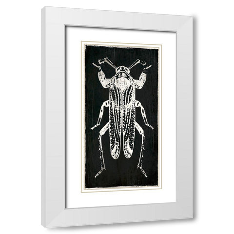 Bug Life Four Black White Modern Wood Framed Art Print with Double Matting by Villa, Mlli