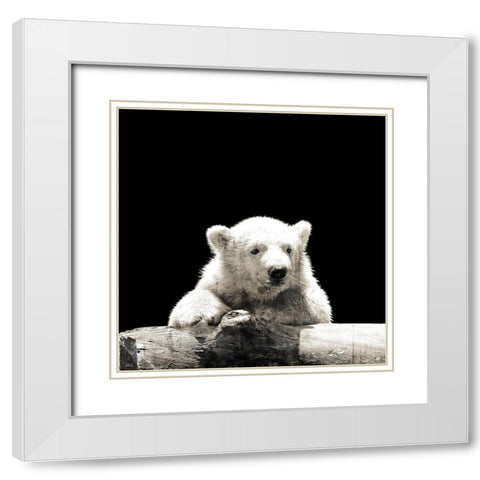 Polar Looks White Modern Wood Framed Art Print with Double Matting by Villa, Mlli