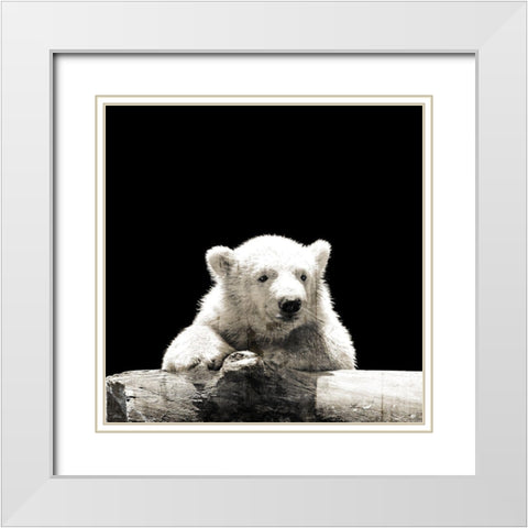 Polar Looks White Modern Wood Framed Art Print with Double Matting by Villa, Mlli
