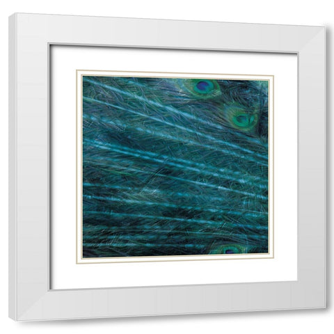 Peacock Galaxy One White Modern Wood Framed Art Print with Double Matting by Villa, Mlli