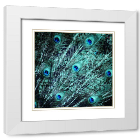 Peacock Spread White Modern Wood Framed Art Print with Double Matting by Villa, Mlli