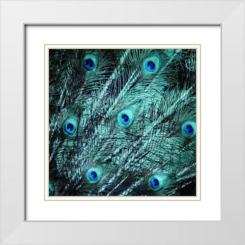 Peacock Spread White Modern Wood Framed Art Print with Double Matting by Villa, Mlli