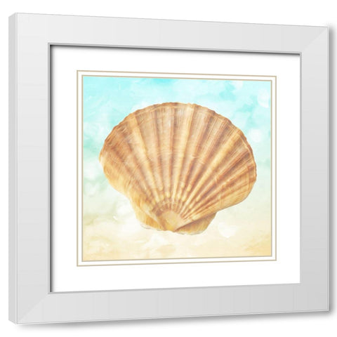 Shell On The Beach White Modern Wood Framed Art Print with Double Matting by Villa, Mlli