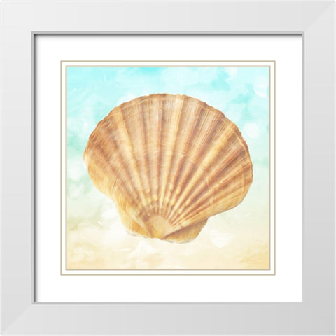 Shell On The Beach White Modern Wood Framed Art Print with Double Matting by Villa, Mlli