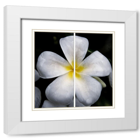 Smile White Modern Wood Framed Art Print with Double Matting by Villa, Mlli
